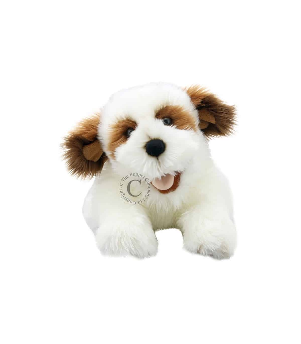 DOG BROWN & WHITE PLAYFUL PUPPIES