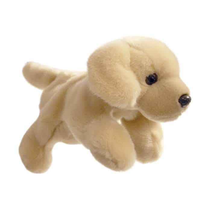 LABRADOR YELLOW FULL BODIED ANIMALS