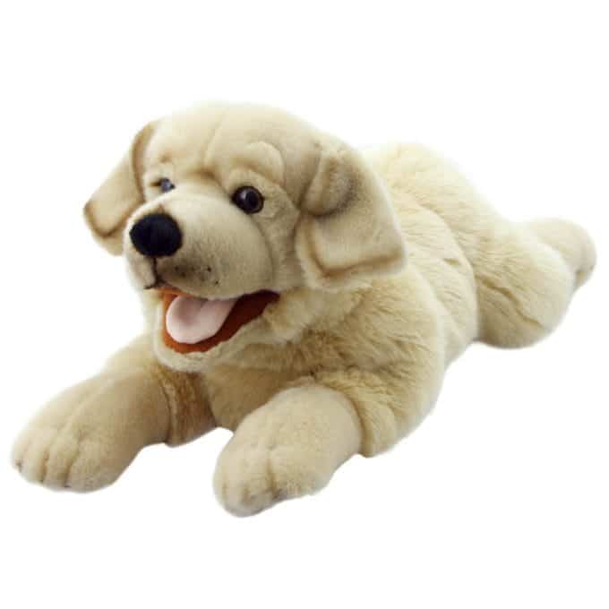 LABRADOR YELLOW PLAYFUL PUPPIES