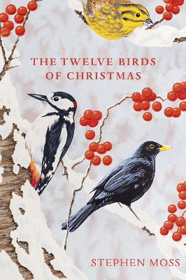 The Twelve Birds Of Christmas
