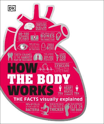 How The Body Works: The Facts Simply Explained