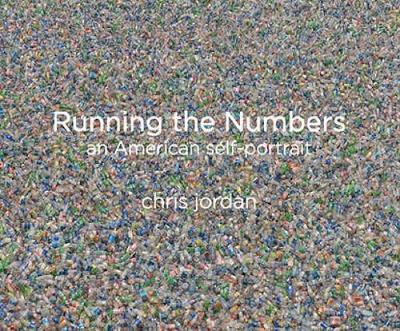 Running The Numbers: An American Self-Portrait