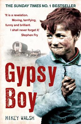 Gypsy Boy: The Bestselling Memoir Of A Romany Childhood