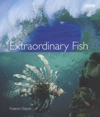 Extraordinary Fish