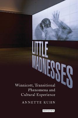 Little Madnesses: Winnicott, Transitional Phenomena & Cultural Experience