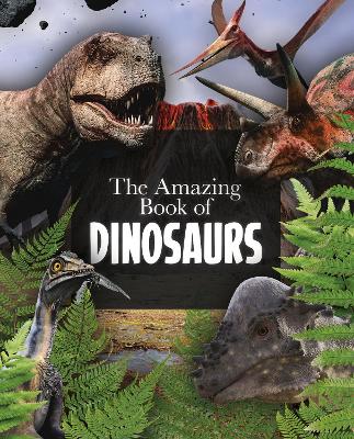 The Amazing Book Of Dinosaurs