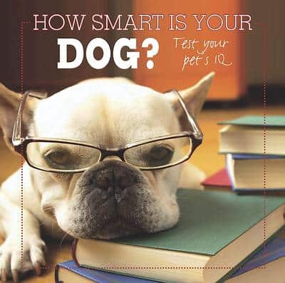 How Smart Is Your Dog?: Test Your Pet's Iq