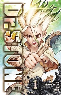 Dr. Stone, Vol. 1: Volume 1