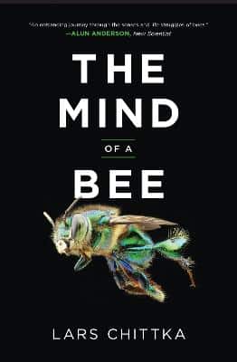 The Mind Of A Bee
