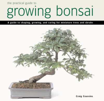 Practical Guide To Growing Bonsai: A Guide To The Art Of Shaping, Growing And Caring For Miniature Trees And Shrubs