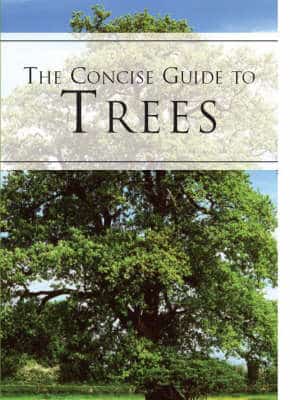 A Concise Guide To Trees