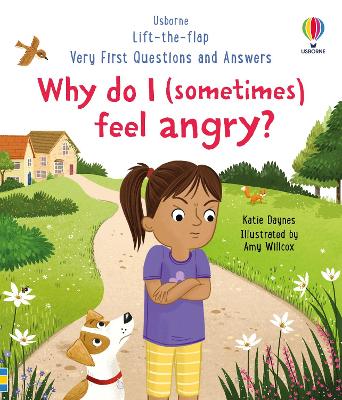 Very First Questions And Answers: Why Do I (Sometimes) Feel Angry?