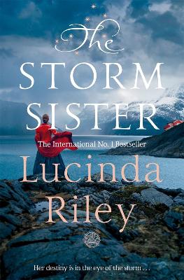 The Storm Sister: Ally's Story