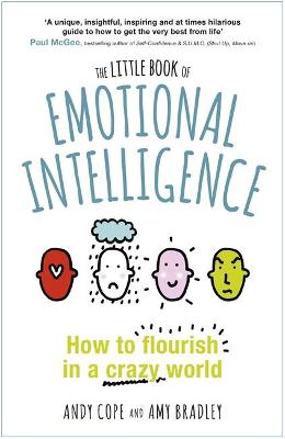 The Little Book Of Emotional Intelligence: How To Flourish In A Crazy World