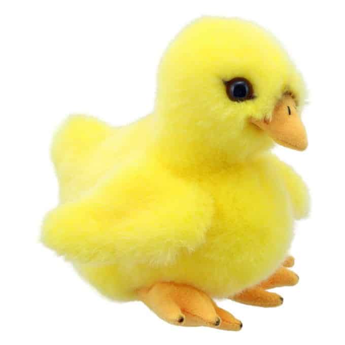 CHICK WILBERRY MINIS