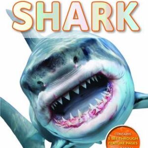 D84 Ultimate Guide Sharks