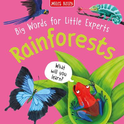 Rainforest (Big Words For Little Experts)
