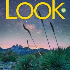 Look 6 (British English)