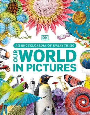 Our World In Pictures: An Encyclopedia Of Everything