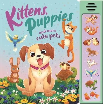 Kittens, Puppies And More Cute Pets