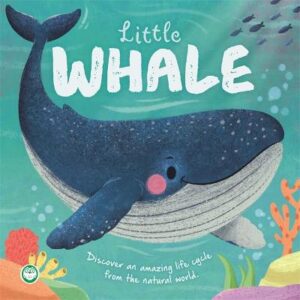 Little Whale: An Illustrated Story About The Life Cycle Of A Whale