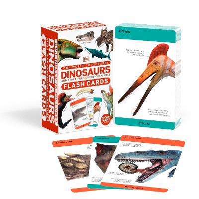 Our World In Pictures Dinosaurs And Other Prehistoric Creatures Flash Cards
