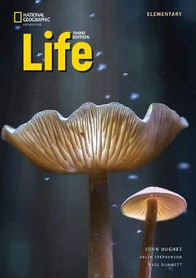 Life Elementary With The Spark Platform