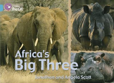 Africa's Big Three Workbook (Collins Big Cat)