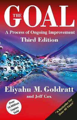 The Goal: A Process Of Ongoing Improvement