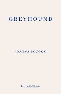 Greyhound