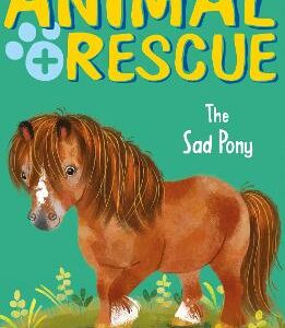 The Sad Pony